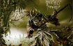 [母带音乐] 芬兰旋律死亡金属乐队博多之子Children Of Bodom - Relentless Reckless Forever 2011 [LP 24bit/192kHz]
