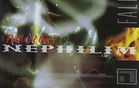 [母带音乐] 英国哥特摇滚 Fields Of The Nephilim - Fallen 2002 [LP 24bit/192kHz]