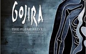 [演唱会] 法国前卫死亡金属 Gojira – The Flesh Alive 2009/2012 [BDRip 720p]