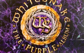 [蓝光原盘] 英国硬摇滚乐队Whitesnake - The Purple Album - Special Gold Edition 2023 [Blu-ray 1080p]
